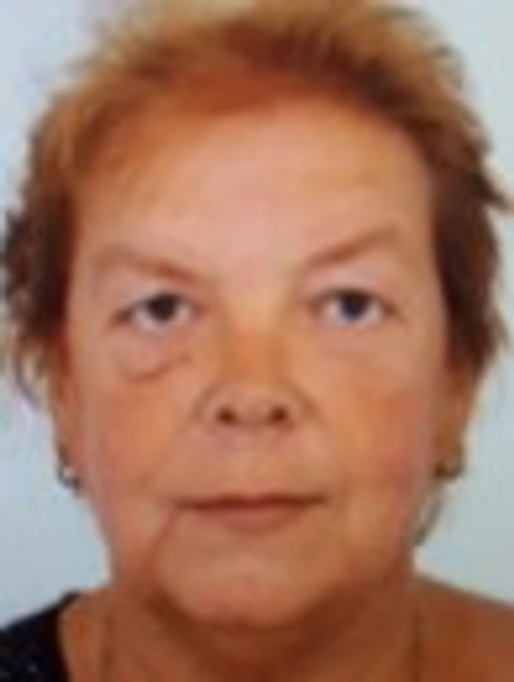 Vermist - Geertien Vegelien Vermist - Geertien Vegelien